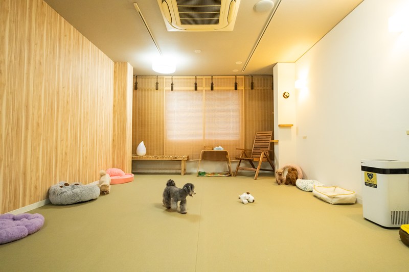 ワンちゃんホテルの画像5